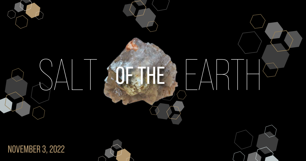 Salt of the Earth logo